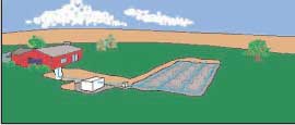 Lateral line septic system